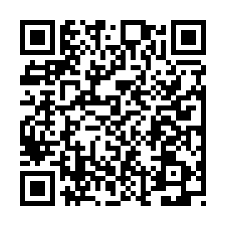QR code for 4LV153U