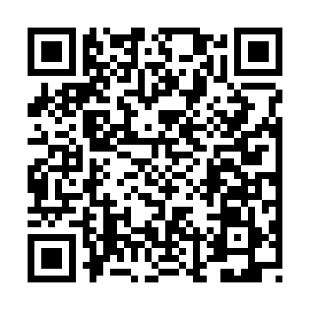 QR code for 4LV399N