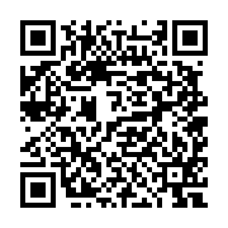 QR code for 4NG495I
