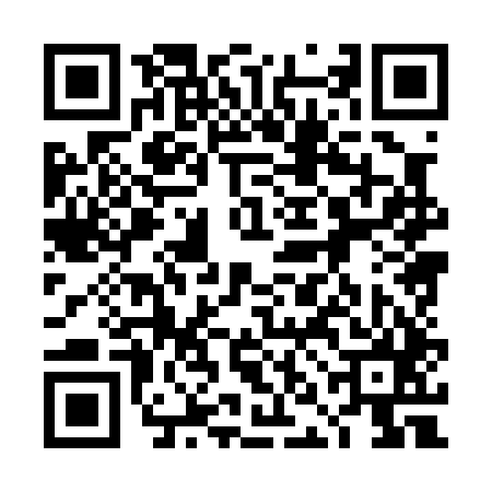 QR code for 4NH045P