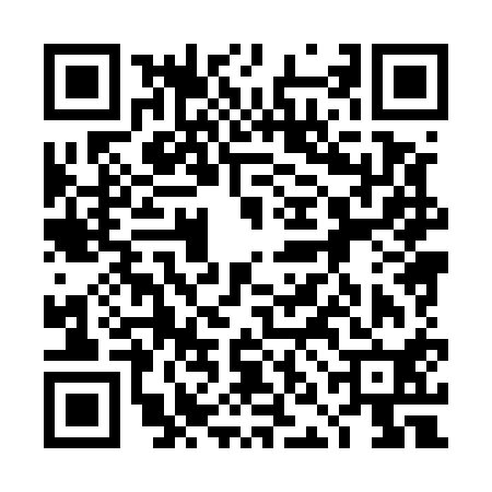 QR code for 4NH510G