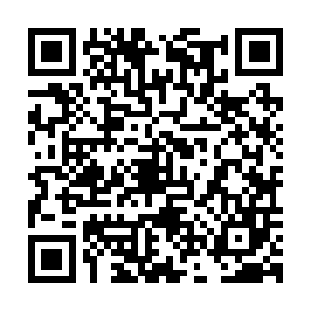QR code for 4NZ206S
