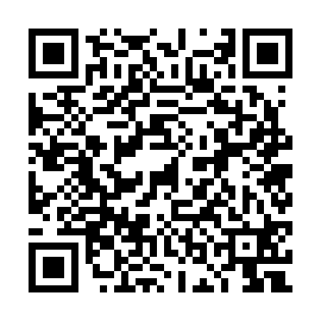 QR code for 4OG220Q