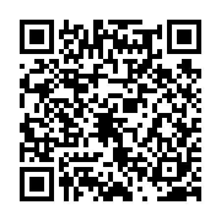 QR code for 4PG650Z
