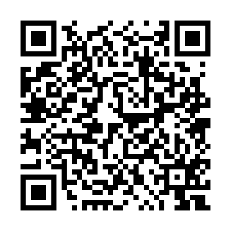 QR code for 4PP315T