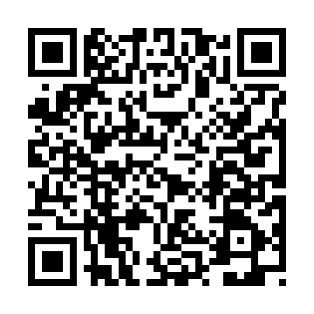 QR code for 4PP687E