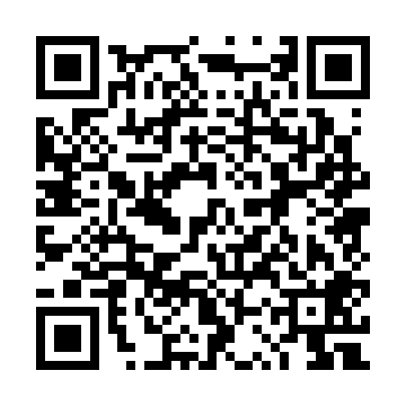 QR code for 4SP308G