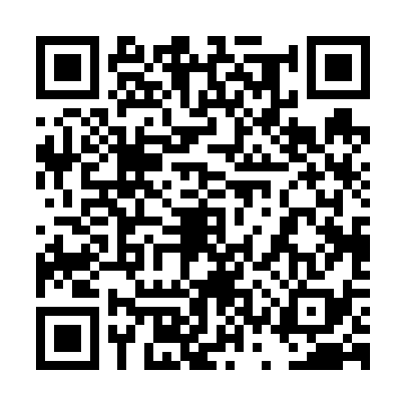 QR code for 4SP638X