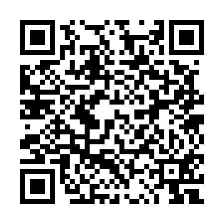 QR code for 4SS511S
