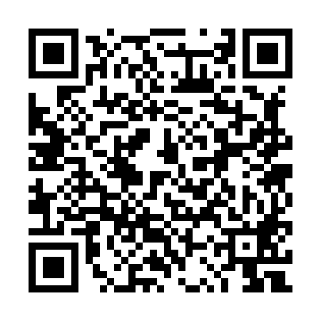 QR code for 4SS888P