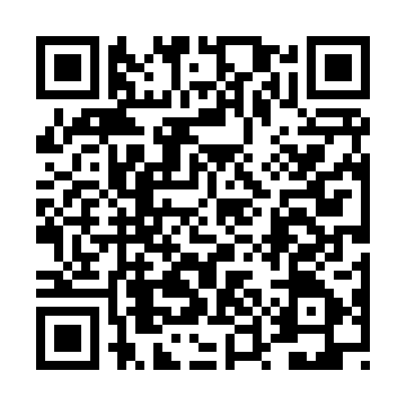 QR code for 4UD807X