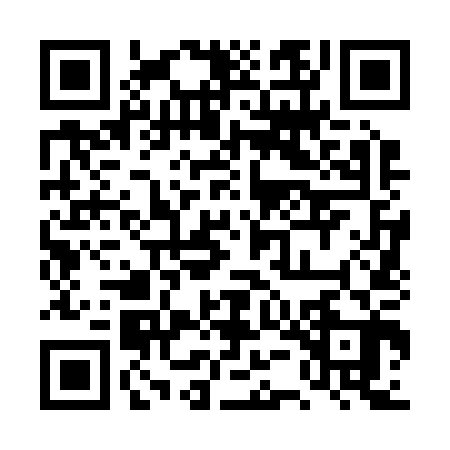 QR code for 4UN203I
