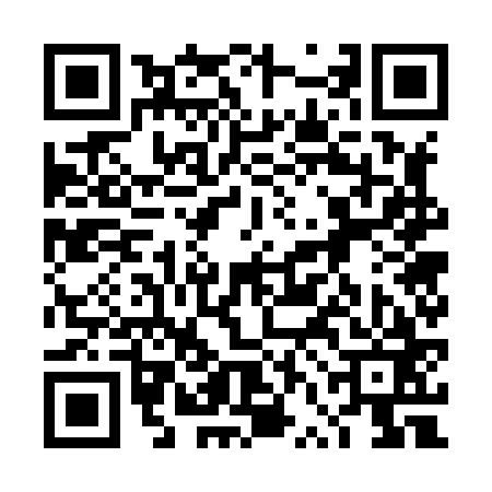 QR code for 4VG863Q