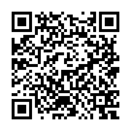 QR code for 4VI976N