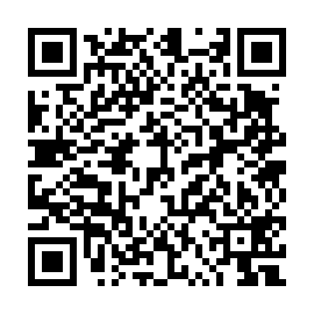 QR code for 4VS419O