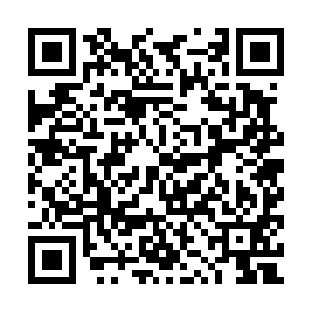 QR code for 4ZG491G