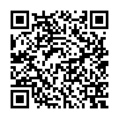 QR code for 4ZP176V