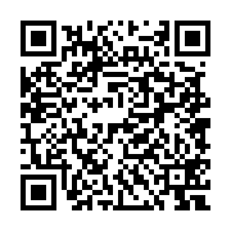 QR code for 5DD519X