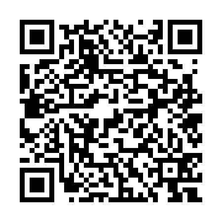 QR code for 5DW333P