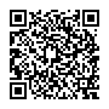 QR code for 5PP290W