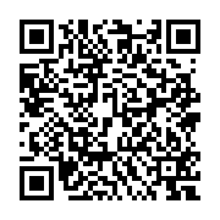 QR code for 5XI313H