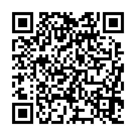 QR code for 5ZB250T