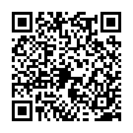 QR code for 6DG207P