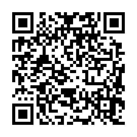 QR code for 6DU384T