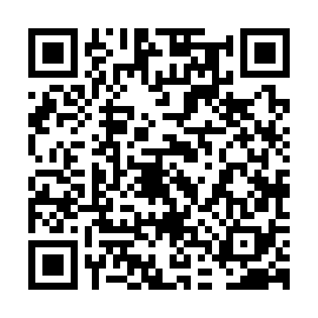 QR code for 6DX378S