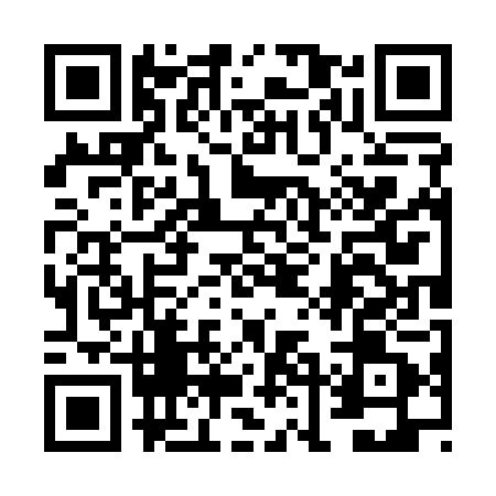 QR code for 6LO101P
