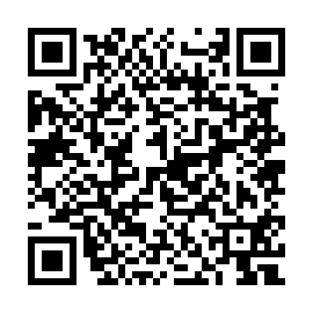 QR code for 6NZ010L
