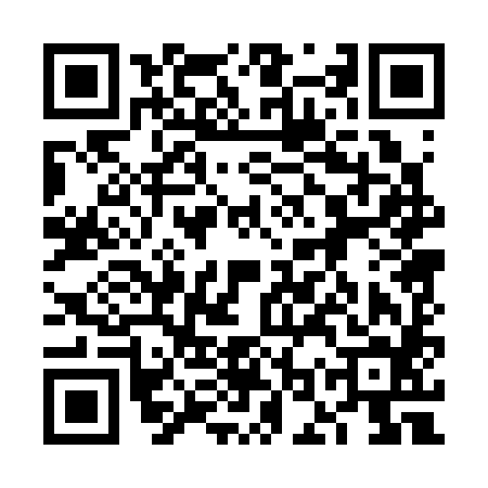 QR code for 6OP384C