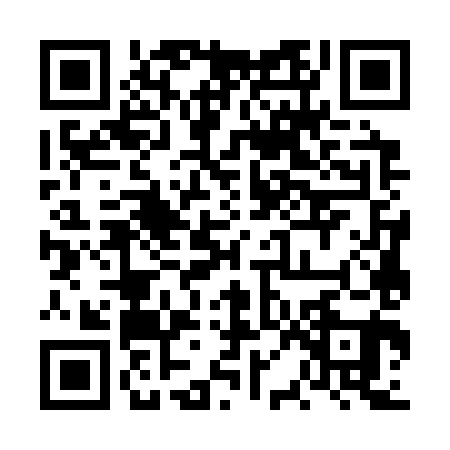 QR code for 6PG381E