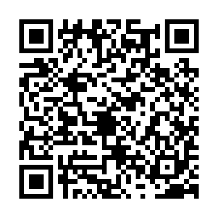 QR code for 6PI290Z