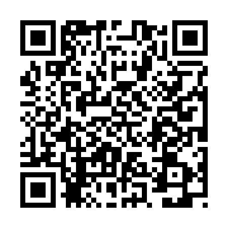 QR code for 6PO213T