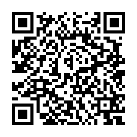 QR code for 6PP422P