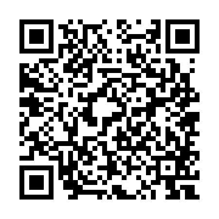 QR code for 6SJ386G