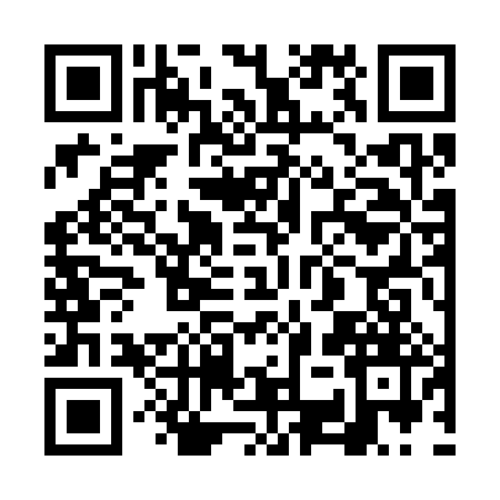 QR code for 6SS383V