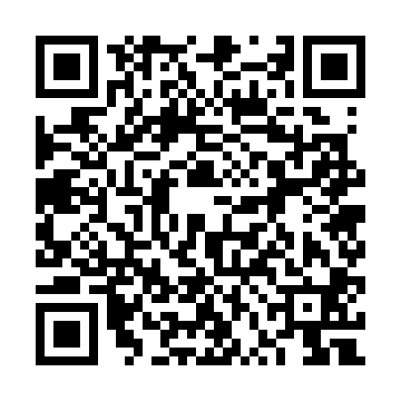 QR code for 6VG300L