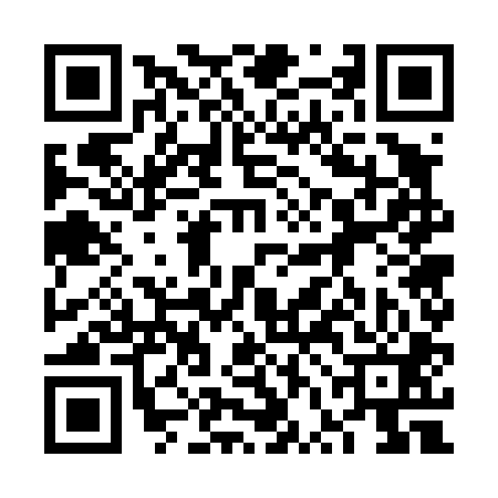 QR code for 6VG401Z