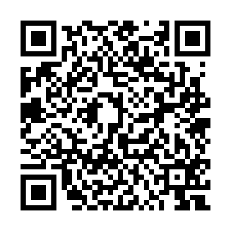QR code for 6VO316E