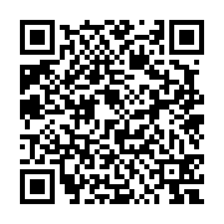 QR code for 6VO432P