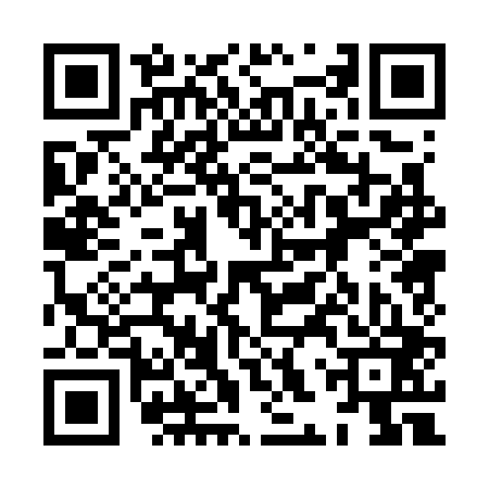QR code for 8HP703P