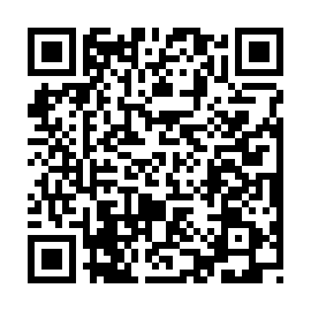 QR code for 9AS311P