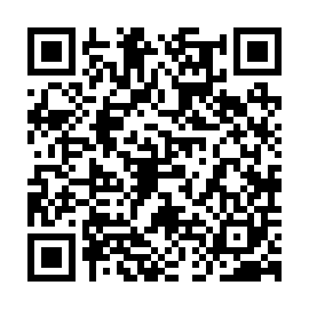 QR code for 9DH200T