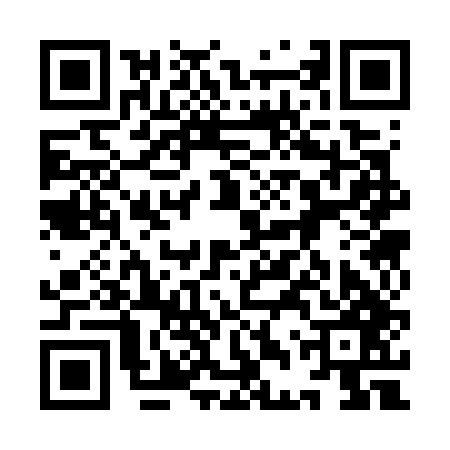 QR code for 9DS747I