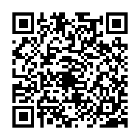 QR code for 9II295T