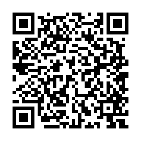 QR code for 9LT447Q