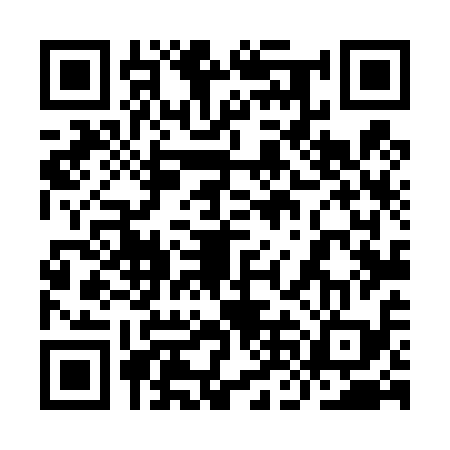 QR code for 9NL419X