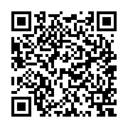 QR code for 9PZ295U